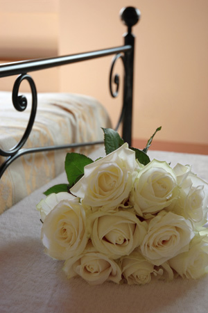 Wedding Photographer Cornwall