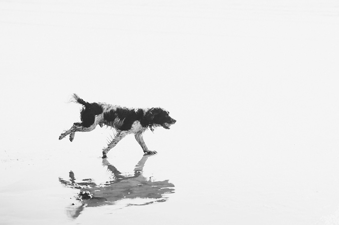 godrevy-beach-engagement-shoot-122